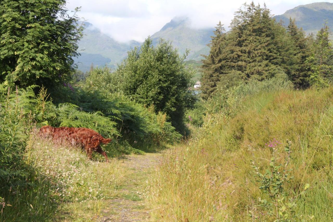 Bed and Breakfast Loch Arklet House Stirling Exterior foto